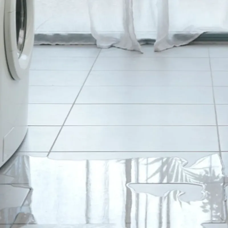 Appliance Leak Cleanup in White Cloud, MI