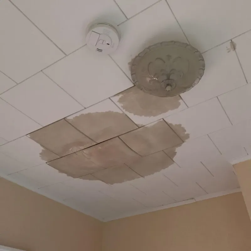 Ceiling Water Damage Repair in White Cloud, MI