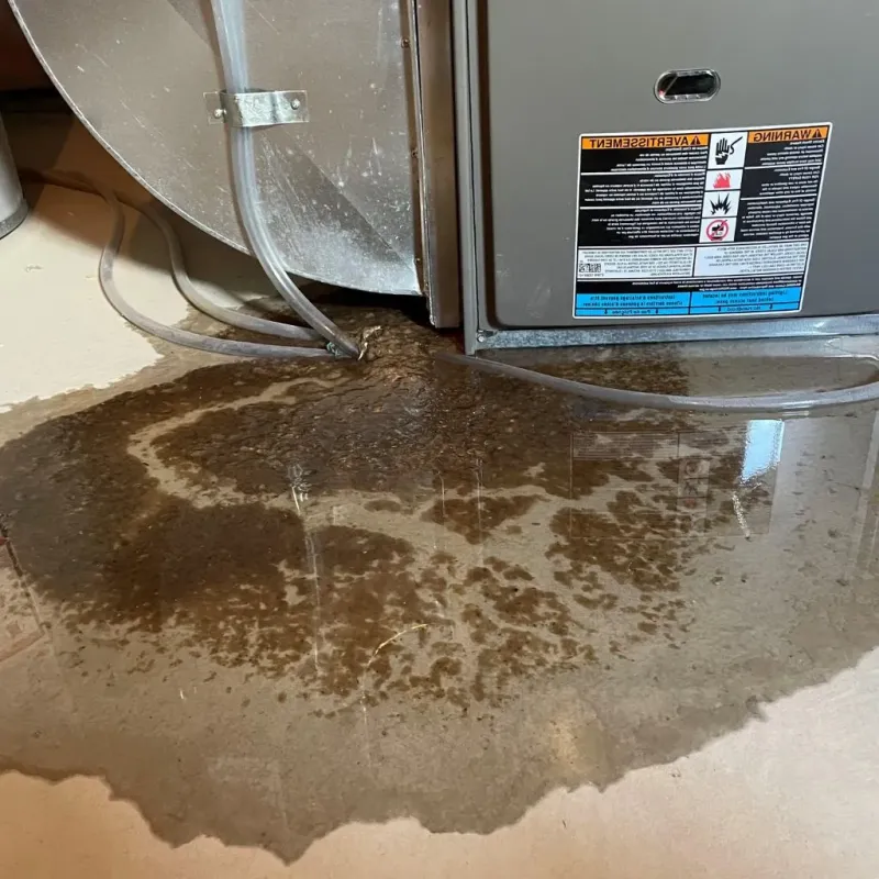 Pipe Burst and Leak Restoration in White Cloud, MI