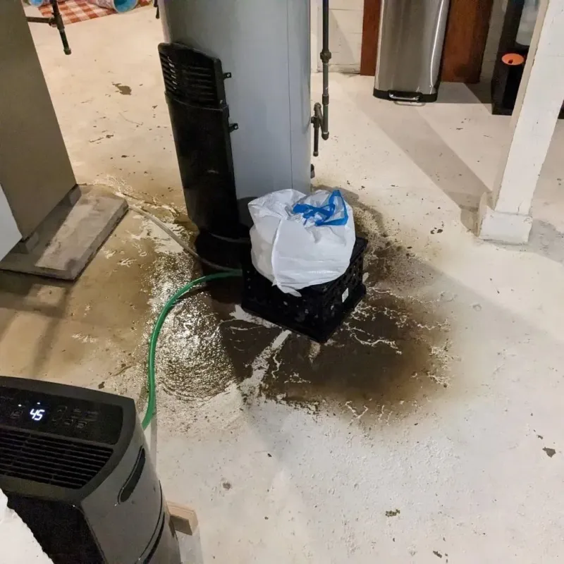 Sewage Backup Cleanup Service in White Cloud, MI